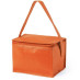 Bolso Cooler Latas Hertum