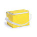 Coolcan 15x21x15 - Amarillo