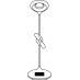 GIROLAMP